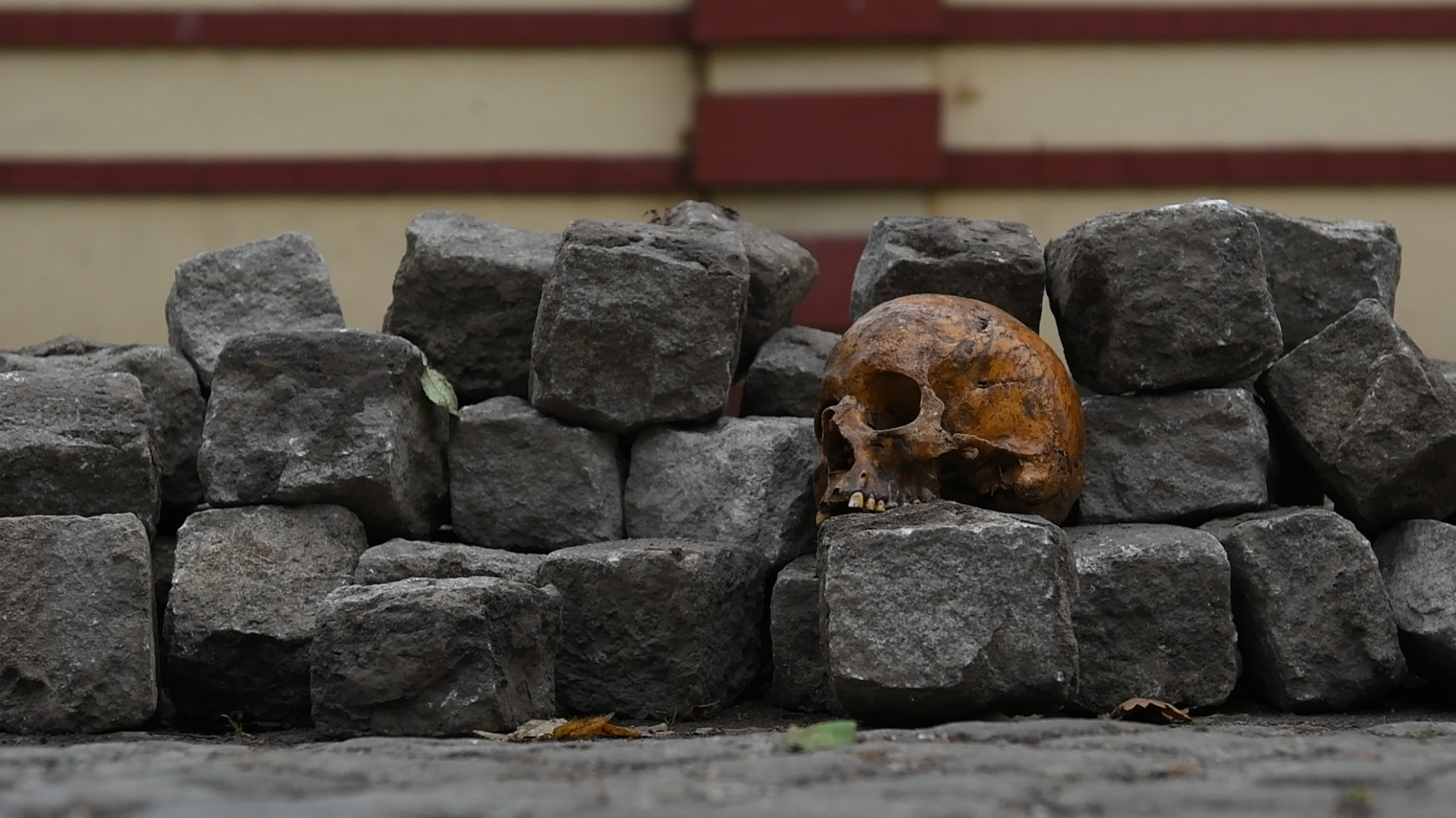 ������ ������� �� ������ �� ���� ������� �� 19 �������� �� 21:00 �. � ����� �� bTV.